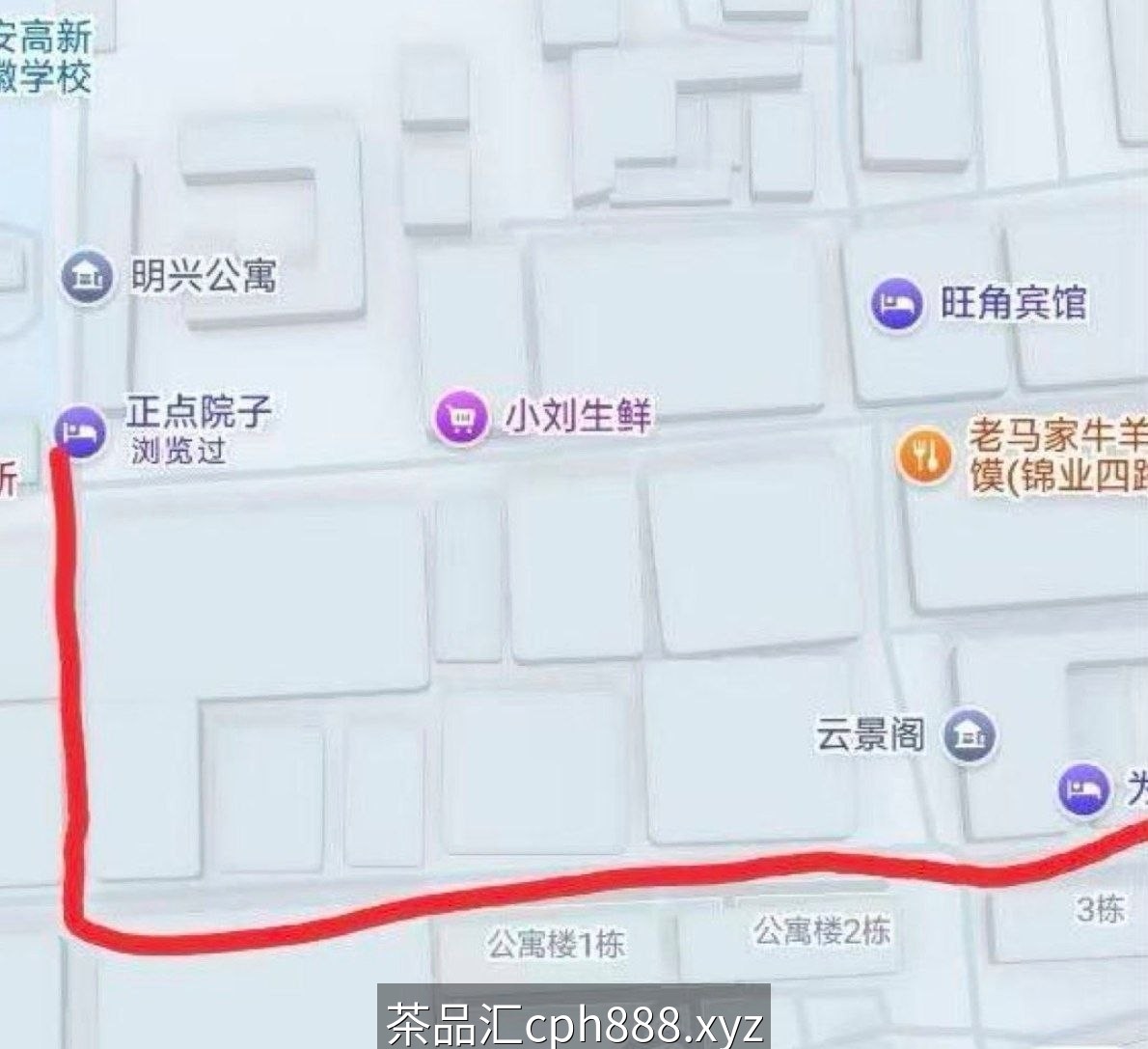 精彩照片
