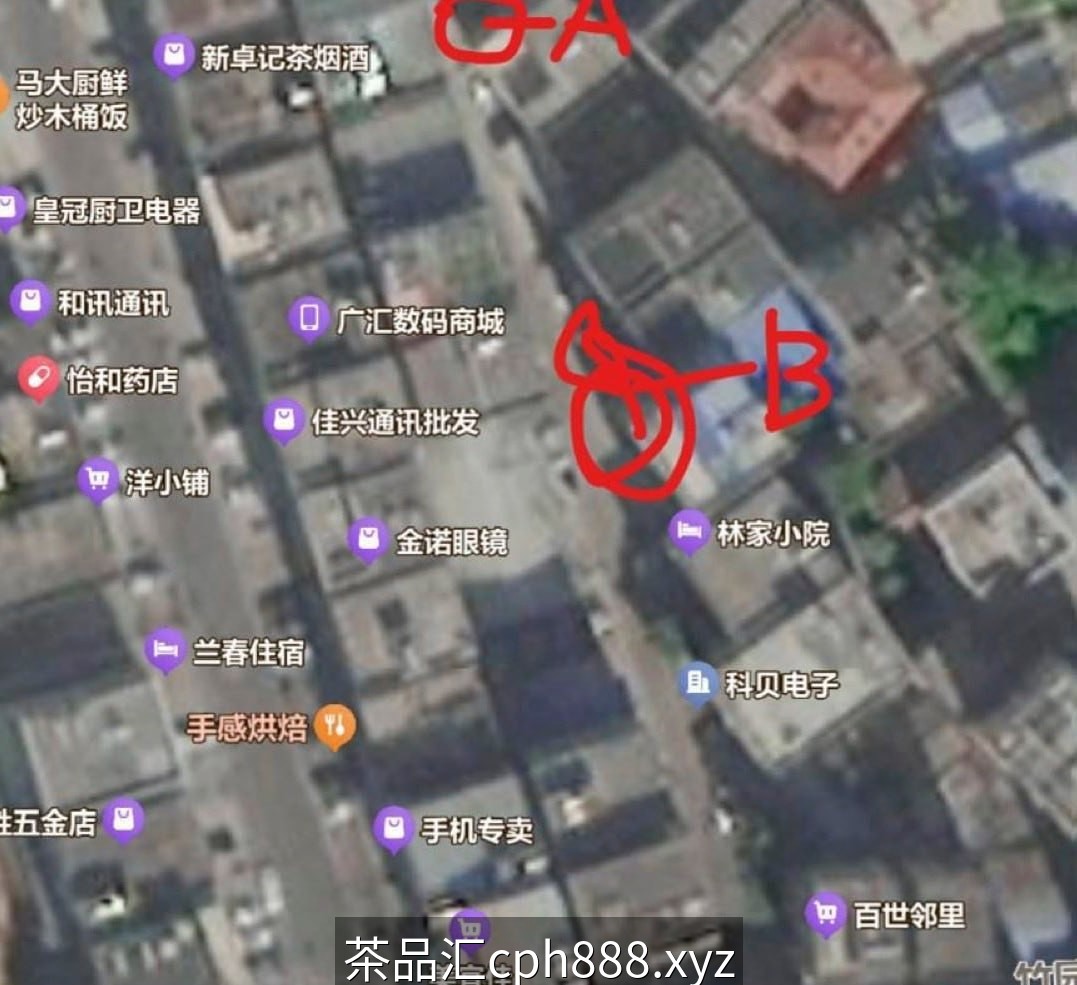 精彩照片